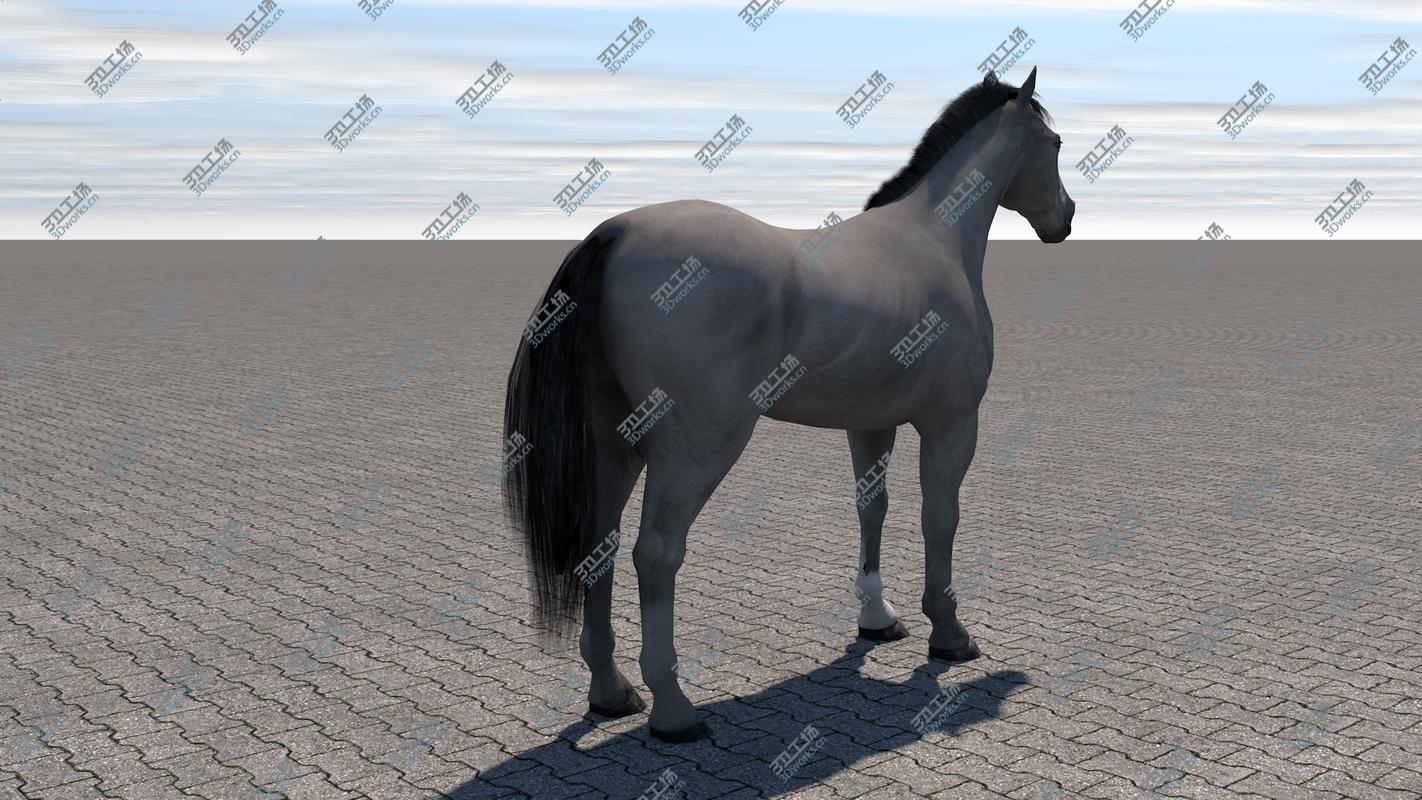 images/goods_img/202105072/3D Horse model/2.jpg
